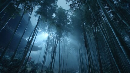 Obraz premium Misty Bamboo Forest with Ethereal Light and Serene Atmosphere
