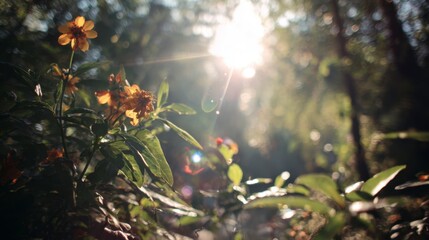 Yellow Flower in Sunlight