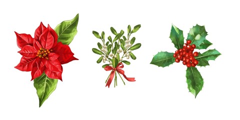 Decorative holiday plants showcasing poinsettia, mistletoe, and holly with vibrant colors and detailed leaves