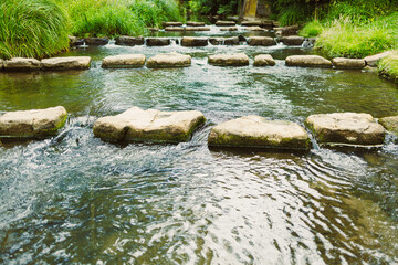 A charming stone path crosses a sparkling stream, surrounded by lush greenery and flourishing...