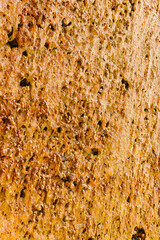 The Textured Surface, adorned with Rich Earthy Tones, beautifully reflects Natural Weathering and...