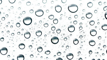 Close up macro view of water droplets on a dark textured surface reflecting light