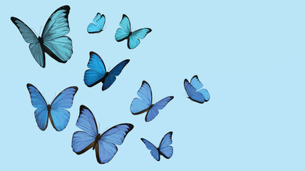 Fototapeta premium A Swarm of Blue Morpho Butterflies Fluttering Across a Light Blue Background butterfly blue butterfly