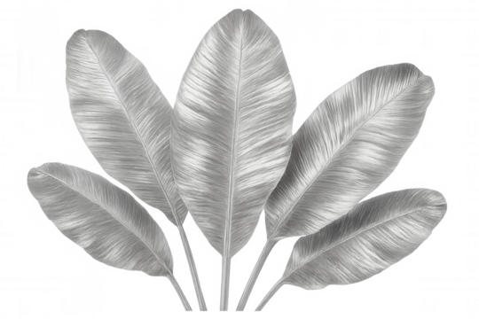 Silver tropical leaves shining brightly against a transparent background, creating a luxurious and elegant atmosphere for any design project