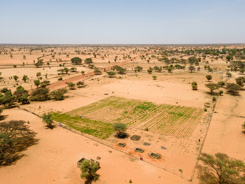 Aerial view of a vast, arid landscape dotted with sparse vegetation, revealing a cultivated field patch and sandy tracks, Khol Khol, Louga Region, Senegal.