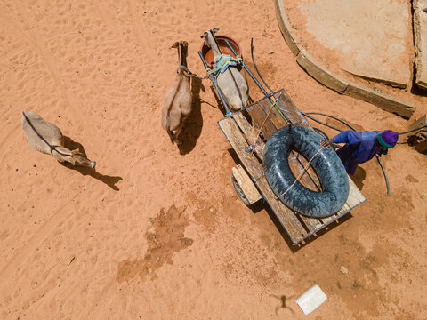 Aerial view of camels pulling a cart with a man in a blue shirt at a well, Khol Khol, Louga Region, Senegal.