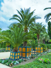 Lush palm trees thrive in vibrant planters, beautifully surrounded by an array of colorful flowers,...