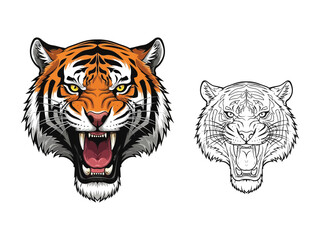 Roaring Tiger Portrait: A striking illustration of a roaring tiger's head, rendered with fierce detail and vibrant color, and paired with a clean line art version for artistic contrast.