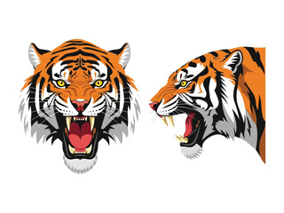 Tiger's Roar: An animated depiction of a tiger in full roar, showcasing its power and intensity, with two different angles.