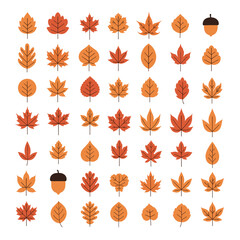 Obraz premium Collection of stylized autumn leaves and acorns in warm earthy tones illustrating seasonal change