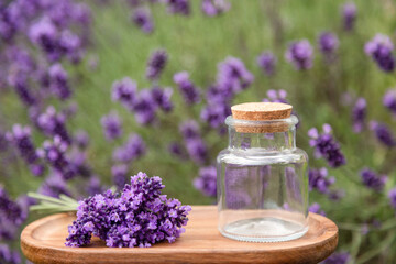 Empty Glass Jar with Lavender Flowers on Wooden Surface in Garden