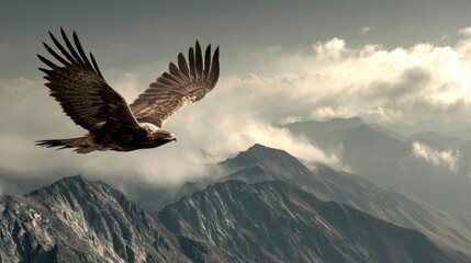 eagle in flight