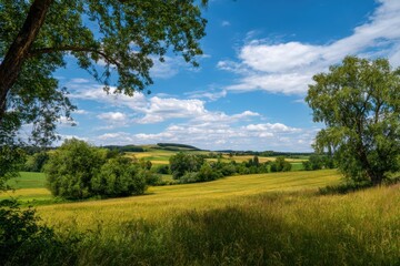 Naklejka premium Landschaft im Sommer mit Bäumen und Wiesen bei strahlendem Sonnenschein