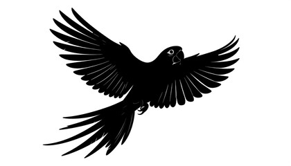 Obraz premium Black silhouette of a parrot in flight