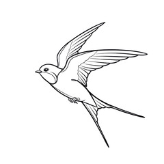 swallow, minimalistic linear drawing, simple black and white contour illustration, vector, isolated, clean design, modern minimal contour sketch for posters, prints and decor