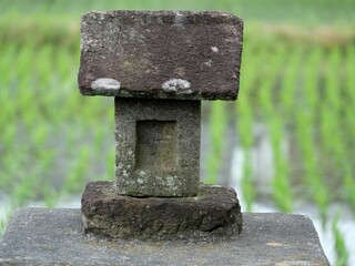 Small Stone Shinto Shrine by Rice Paddy in Late Spring, Oshu, Iwate, Japan