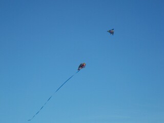 Kites and Blue Sky