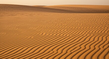 Naklejka premium Desert sand landscape