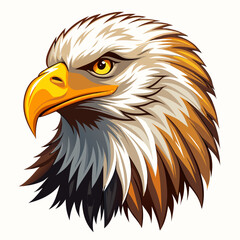 Obraz premium american bald eagle with white background