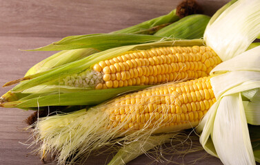 Raw corn cobs on wood