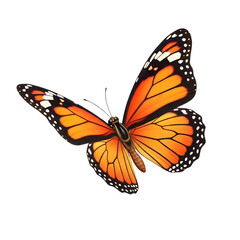 butterfly PNG..../.