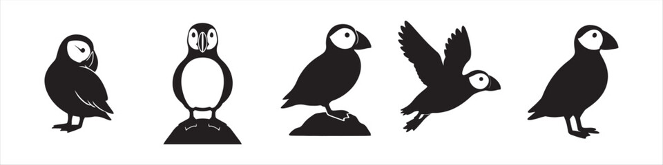 Minimalist Puffins Silhouette Vector Bundle
