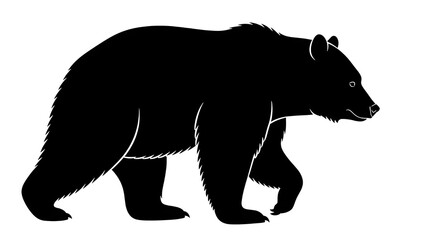 Black Bear Silhouette Walking Isolated Wild Animal Graphic Illustration Vector