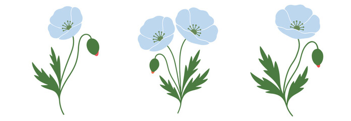 Light blue poppy flowers set with green leaves minimal illustration

Keywords (comma-separated)
poppy, poppies, flower, flowers, blue, light blue, blossom, bloom, 