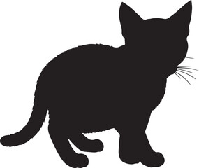 Kanaani cat full image in silhouette image white background.