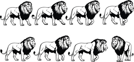 Lion illustration set, male lion, wildlife vector, big cat drawing, animal art, safari predator, African lion, majestic animal design © Biplob Creatives