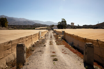 Agricultural greenhouses next to Rioja with the Sierra Alhamilla in the background, Almeria, Andalusia, Spain