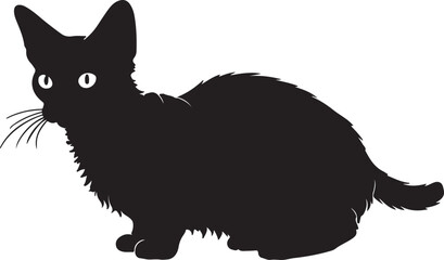 LaPerm cat full image in silhouette image white background..