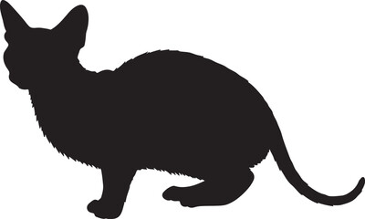  Lykoi cat full image in silhouette image white background.