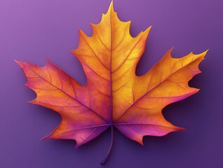 Obraz premium Golden Maple Leaf Sticker on Purple Green Background, Thick Border Bright Colors Minimalist Flat Design Autumn Theme Vector