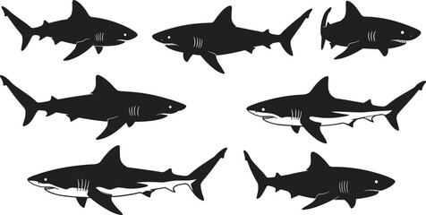 Shark silhouette vector set, collection of black great white shark illustrations, marine predator fish icons for ocean wildlife design and decoration