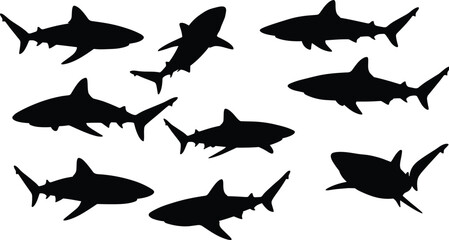Shark silhouette vector set, various marine predator shapes in black, ocean wildlife illustration for decoration and sea animal design
