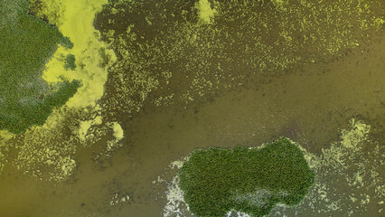 green algae growth on canadian waterway