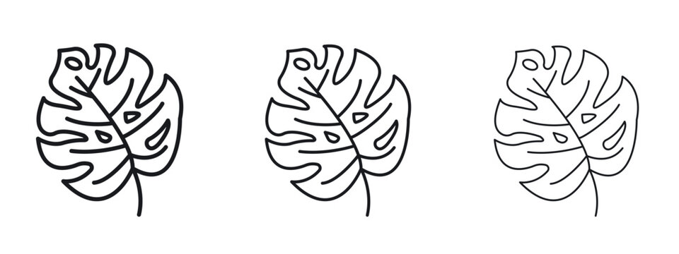 Monstera deliciosa plant leaf icon vector Logo Design Template. Editable Stroke graphics.