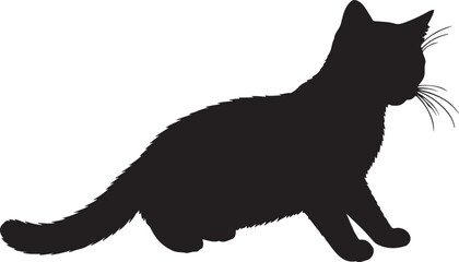 Minuet full image in silhouette image white background.