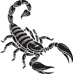 scorpion vector illustration