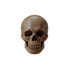 Obraz premium Intricate Wood-Textured Skull for Artistic Anatomy Visualization, Natural Wood Skull with Detailed Sutures and Dental Structure