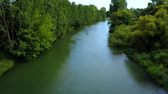 Stunning top-down (nadir) aerial view of a river surrounded by colorful trees along the shoreline. Crystal-clear water contrasts beautifully with the vibrant foliage, creating a breathtaking and seren