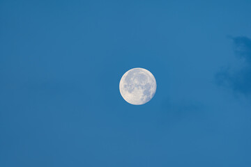 Lunar Serenity