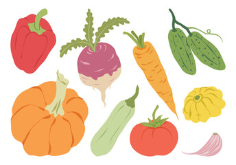 Vegetable set. Autumn harvest of vegetables. Healthy vegetarian organic food. Fresh pepper, tomato, beet, pumpkin, zucchini, cucumbers. Minimalist flat vector illustration collection of plant food.