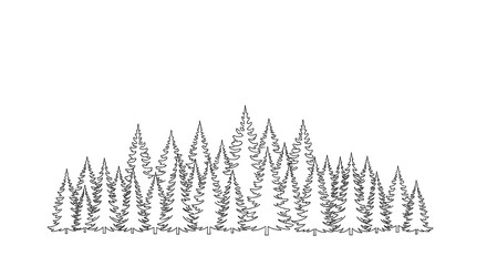 Hand drawn evergreen forest line art sketch black and white illustration