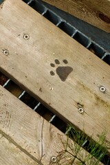 Vertical close-up of a paw print sign on a wooden trail board in a Finnish forest. Concept of dog-friendly hiking, eco-tourism, and sustainable nature paths in Nordic outdoor culture. Finland, Lapland