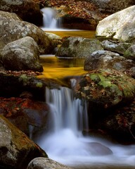New Hampshire, Pemi, White Mountains, Golden Forest Stream Cascading Over Mossy Rocks in Autumn. Red, Brown, Grey
