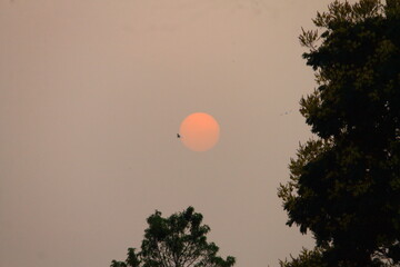 hot air balloon at sunset