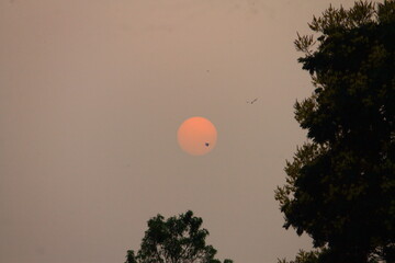 hot air balloon at sunset