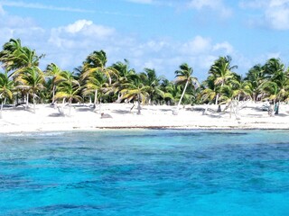 Obraz premium tropical beach with palm trees